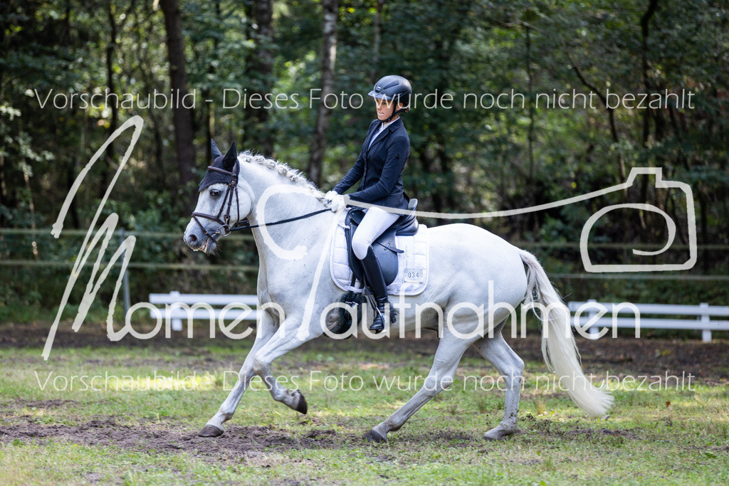 HB-Dressur-WB-114 | MomenTaufnahmen Pferdesportfotos