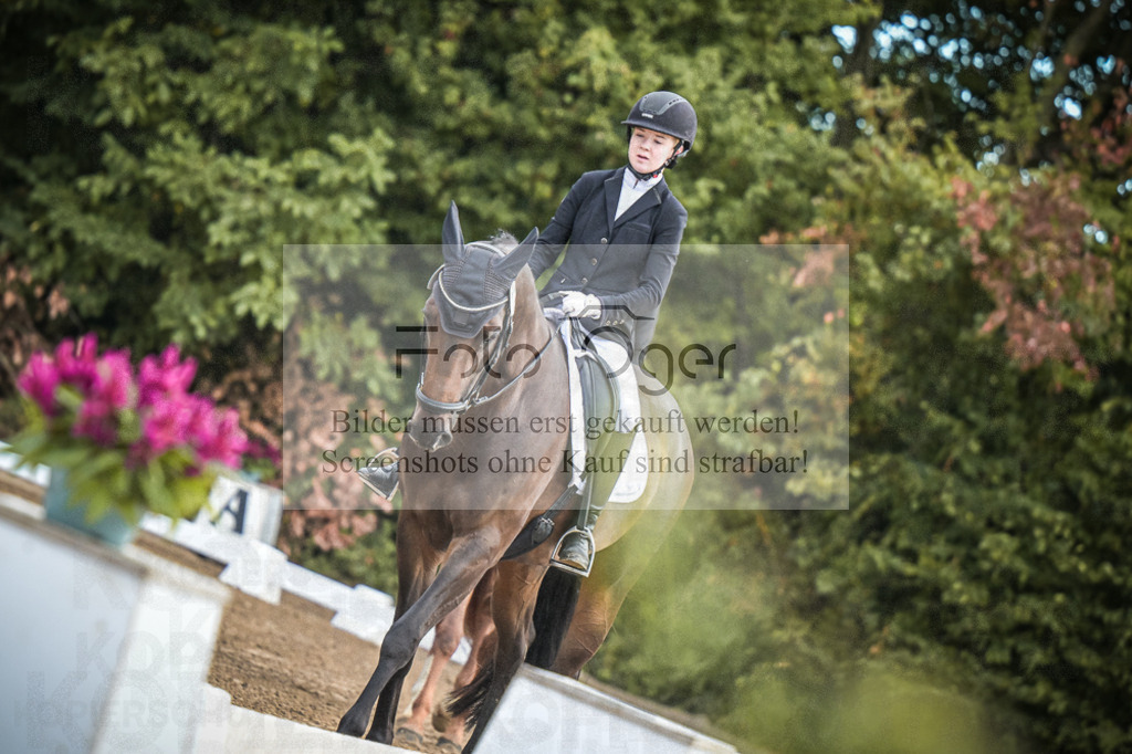 DOS_0126 | Entdecke hochwertige Reitturnierfotos von Foto Oger. Professionell, emotional und authentisch – jetzt Lieblingsmomente im Shop bestellen.Deutschlandweite Turnierfotografie. - Realisiert mit Pictrs.com