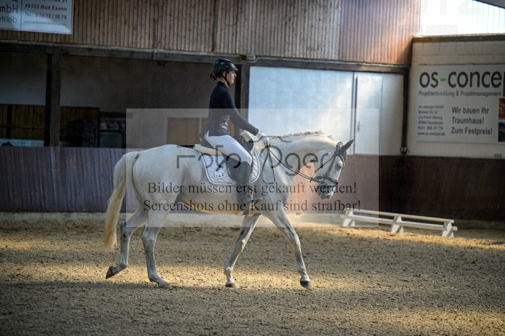 Reitturnier Voxtrup | Entdecke hochwertige Reitturnierfotos von Foto Oger. Professionell, emotional und authentisch – jetzt Lieblingsmomente im Shop bestellen.Deutschlandweite Turnierfotografie. - Realisiert mit Pictrs.com