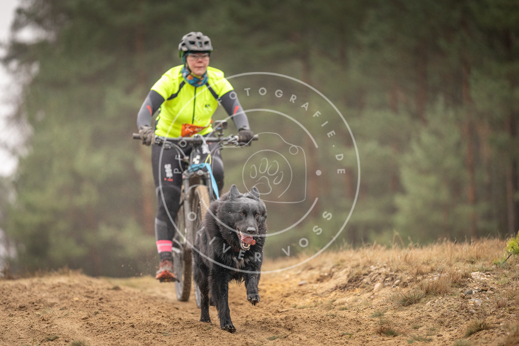 Pfotenfotografie_DV3A3840 | Hundefotografie, Tierfotograf, Pfotenfotografie, Fotoshooting Hund, Hunde Portrait, Hundesport, Hundeportraits, Heideshooting, Hunde, Sportfotograf, Hundefotograf, Turnierhundsport, THS,  - Realisiert mit Pictrs.com