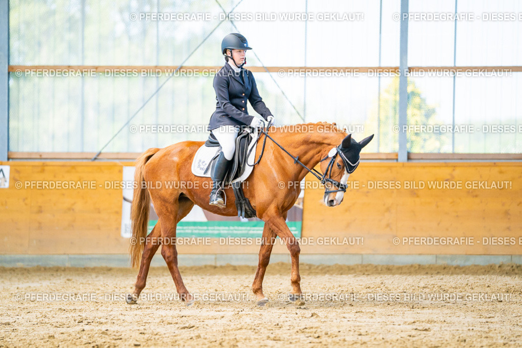 DSC07046 | Pferdegrafie