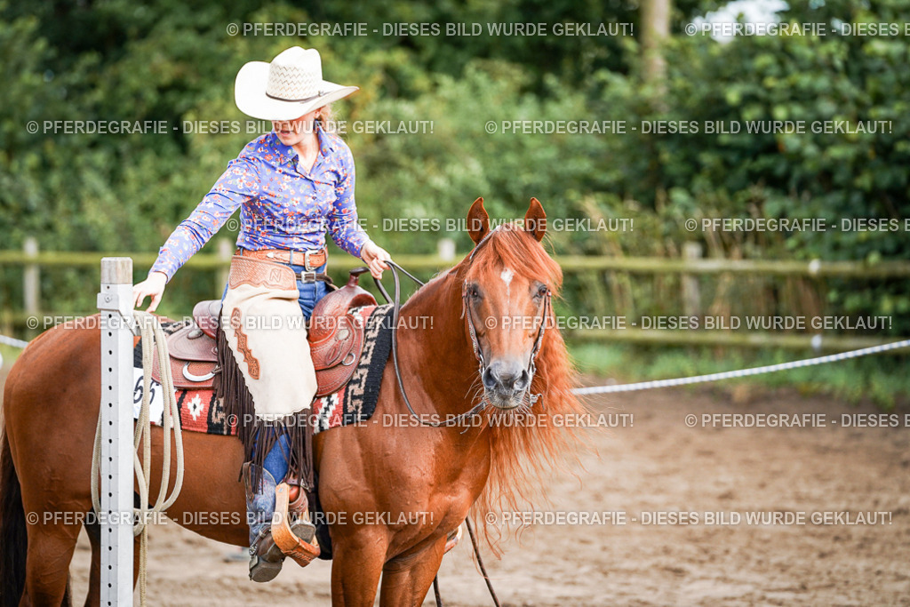 DSC00055 | Pferdegrafie