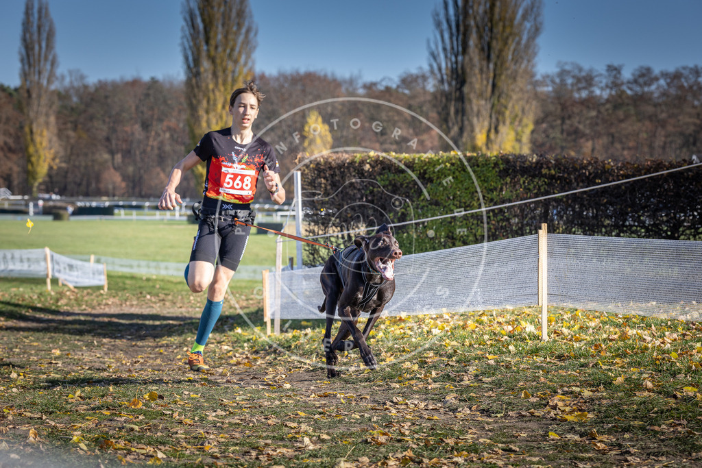CaniXpix_DV3A8823 | Hundefotografie, Tierfotograf, Pfotenfotografie, Fotoshooting Hund, Hunde Portrait, Hundesport, Hundeportraits, Heideshooting, Hunde, Sportfotograf, Hundefotograf, Turnierhundsport, THS,  - Realisiert mit Pictrs.com