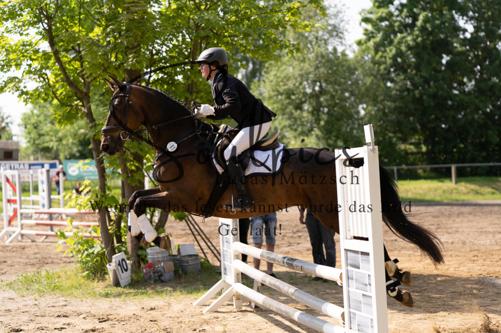 A7507397 | Turnier/Reitfotograf