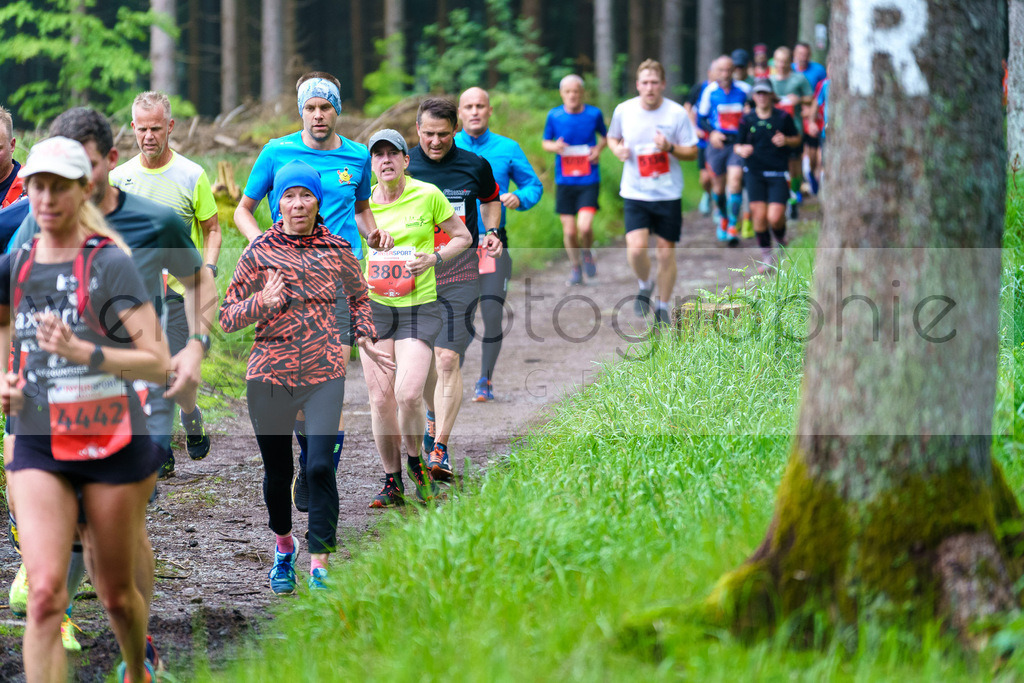 Rennsteiglauf Marathon 2024 | 25. Mai 2024 - 42,2 km von Neuhaus nach Schmiedefeld