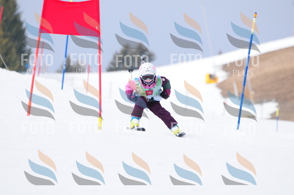 A3489 | holidayphoto