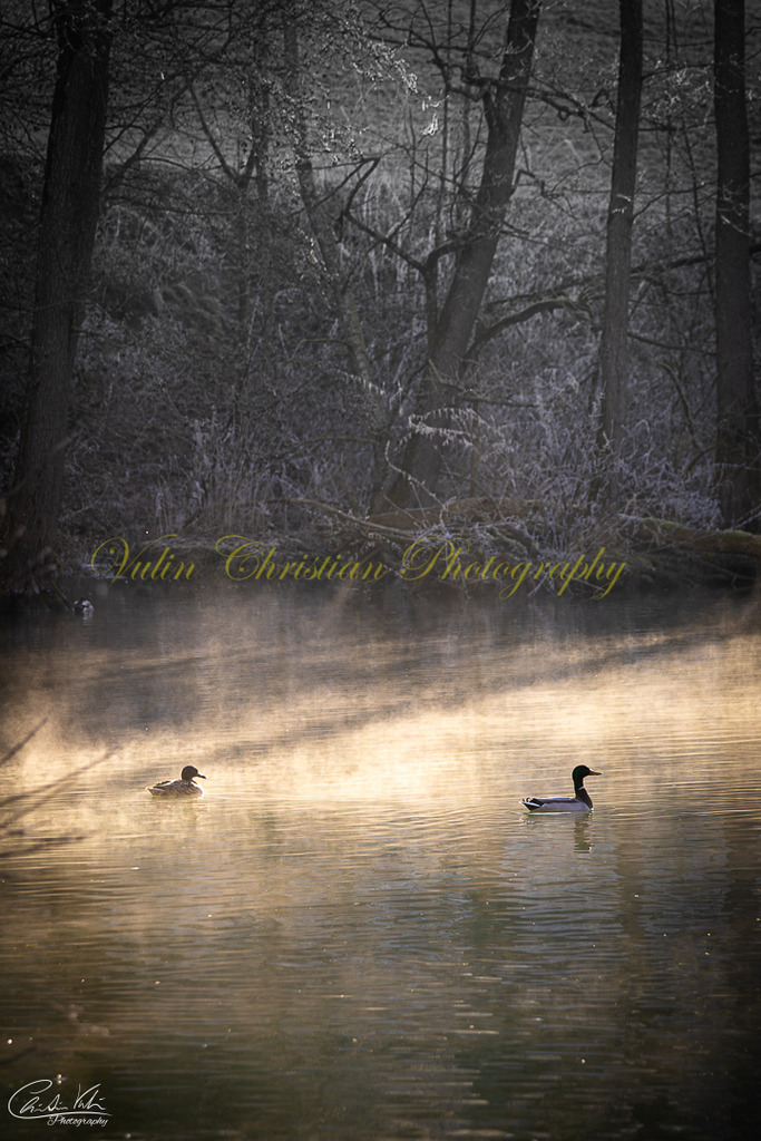 TPH 10 | Christian Vulin  - Realisiert mit Pictrs.com