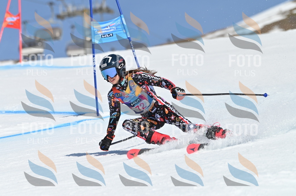 BGV_8948 | holidayphoto