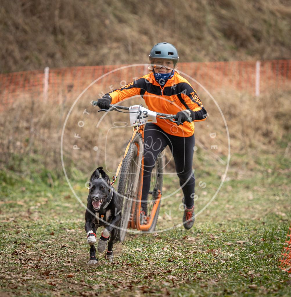Pfotenfotografie_DV3A7260 | Hundefotografie, Tierfotograf, Pfotenfotografie, Fotoshooting Hund, Hunde Portrait, Hundesport, Hundeportraits, Heideshooting, Hunde, Sportfotograf, Hundefotograf, Turnierhundsport, THS,  - Realisiert mit Pictrs.com