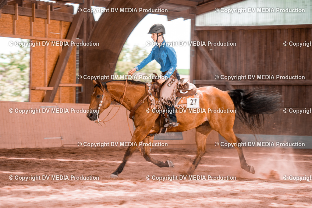 NE200747 | dv-media-shop - Realisiert mit Pictrs.com