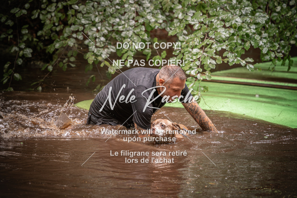 nelerasche_Wingst_Sa1330-1400_11 | nelerasche