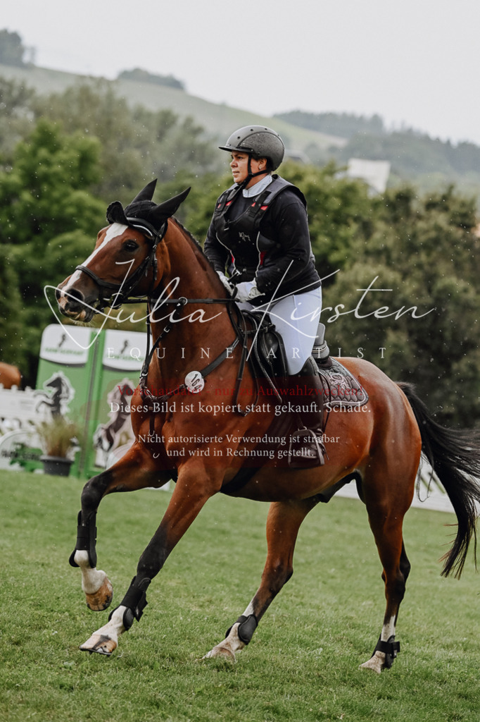 DSC_6912 | Pferde- und Turnierfotografie in Westsachsen. Pferdeportraits, Auftragszeichnungen und intuitive Kunst.