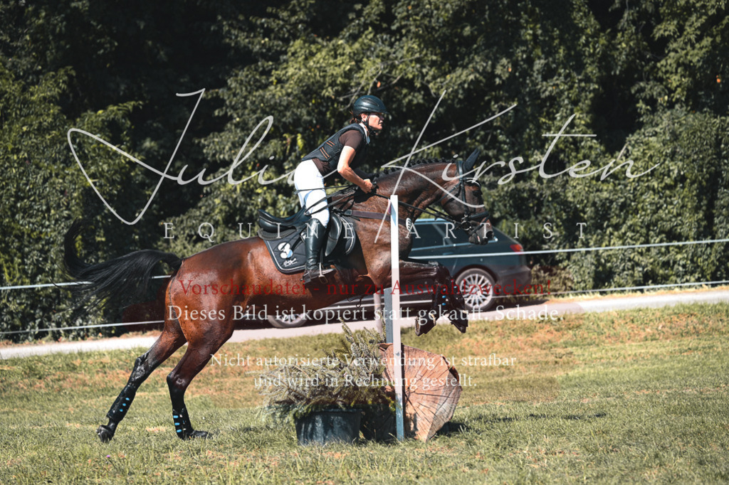 DSC_8232-2 | Pferde- und Turnierfotografie in Westsachsen. Pferdeportraits, Auftragszeichnungen und intuitive Kunst.
