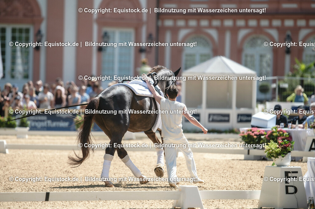 20230528_Voltigieren_NASPA_0059 | equistock