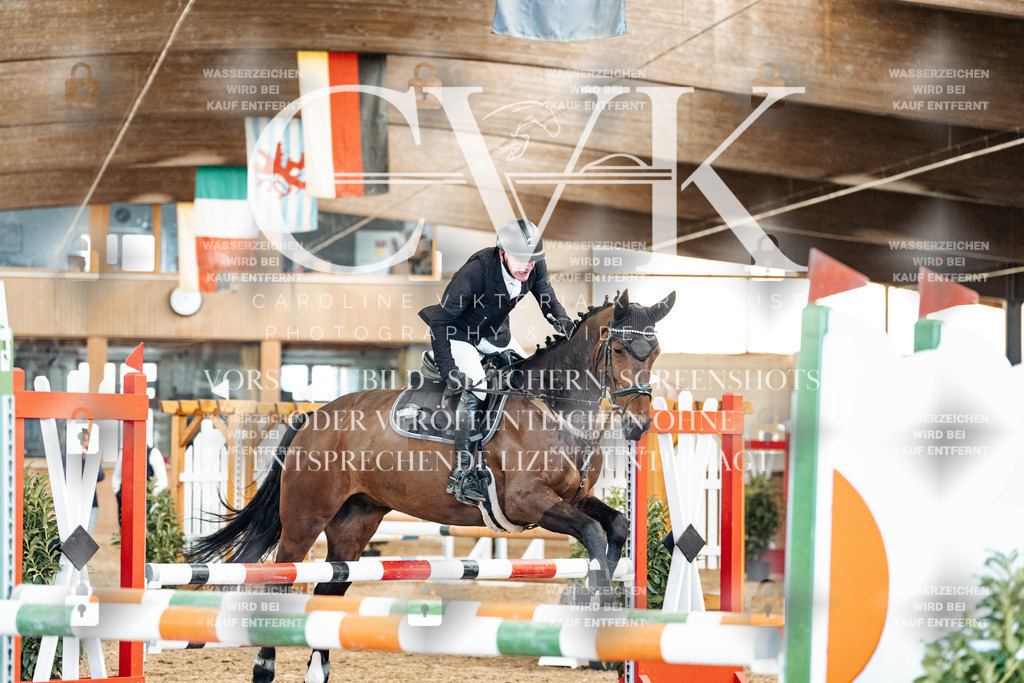 CK905266 | Turnierfotografie Pferdefotografie Trier Rheinland-Pfalz Pferdesport Reitsport Tierfotografie Sportfotografie Pferdevideo Pferdevideografie Equestrianvideography equestrianphotography  - Realized with Pictrs.com