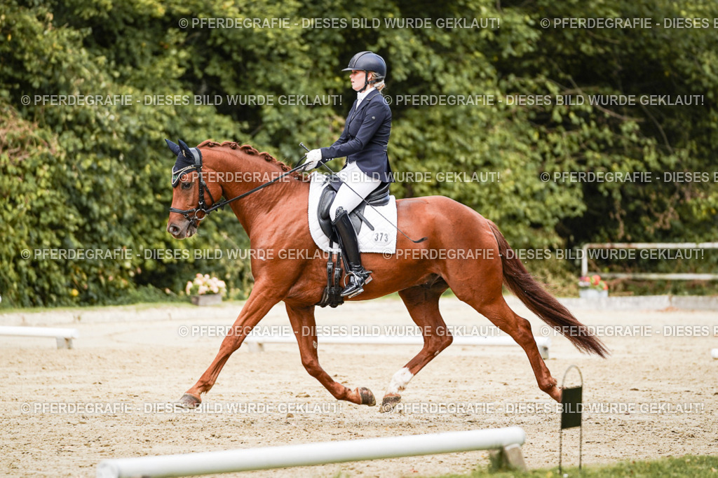 DSC02697 | Pferdegrafie