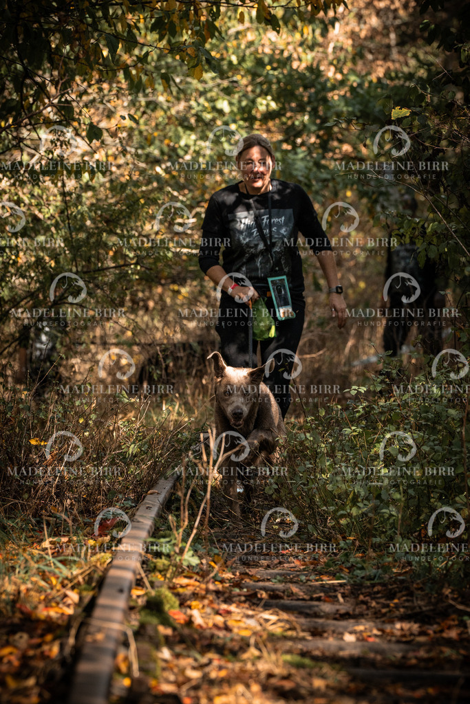 madeleinebirr.fotografie.2026.cc.hunsrueck.12-13Uhr.16 | hundefotografie-birr
