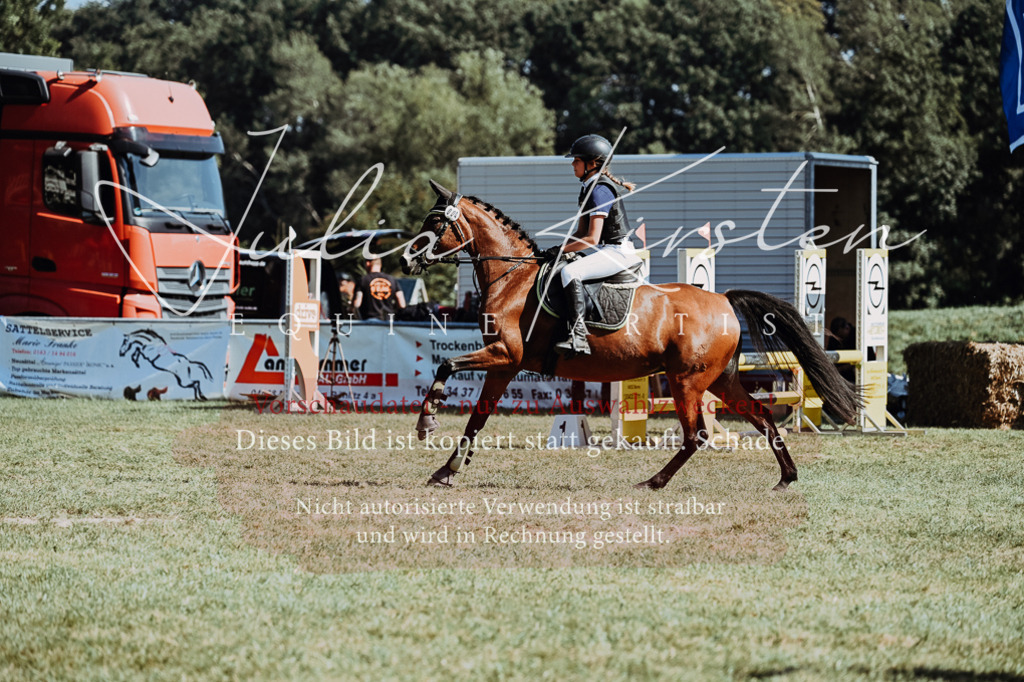 DSC_6736 | Pferde- und Turnierfotografie in Westsachsen. Pferdeportraits, Auftragszeichnungen und intuitive Kunst.