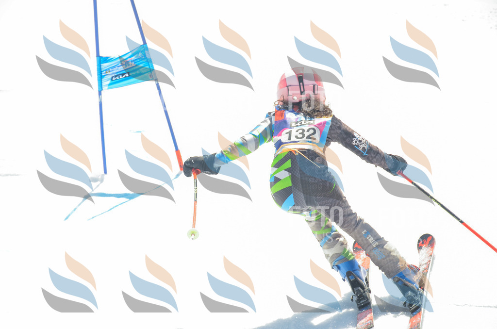 _ELE6139 | holidayphoto