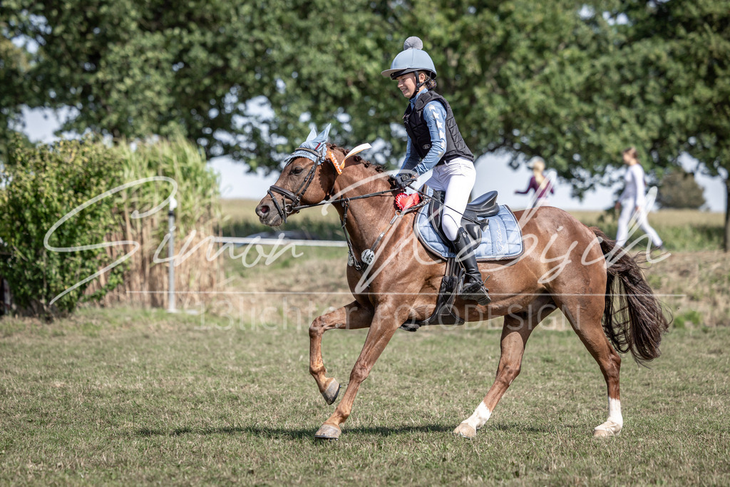 20250907-_3LI0354 | Tierfotografie Pferde, Hunde, Katzen, Haustiere.
Turnierfotografie Reitturniere, Reiten, Springreiten, Dressur in Hanau, dem Main-Kinzig-Kreis und dem Rhein-Main- Gebiet um Frankfurt