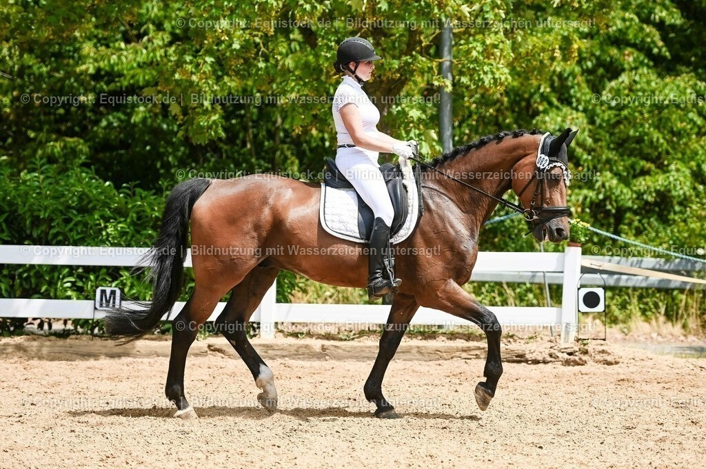 20230715_05_Dressurprüfung Kl.A++_0420 | equistock
