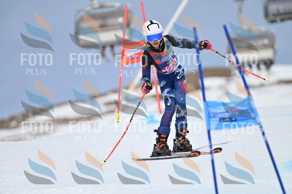 BGV_1659 | holidayphoto