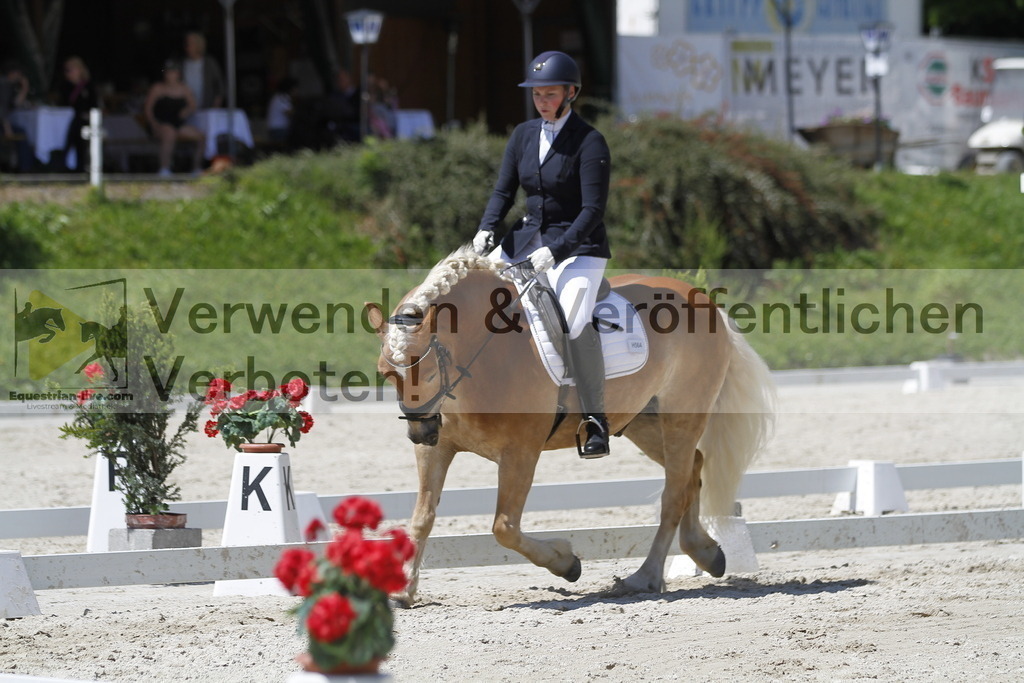 _MG_5282 | equestrian-live-com