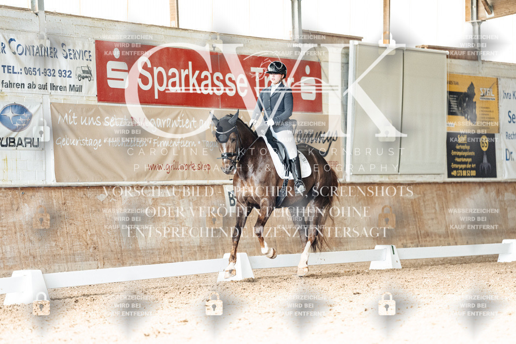 CK902752 | Turnierfotografie Pferdefotografie Trier Rheinland-Pfalz Pferdesport Reitsport Tierfotografie Sportfotografie Pferdevideo Pferdevideografie Equestrianvideography equestrianphotography  - Realisiert mit Pictrs.com