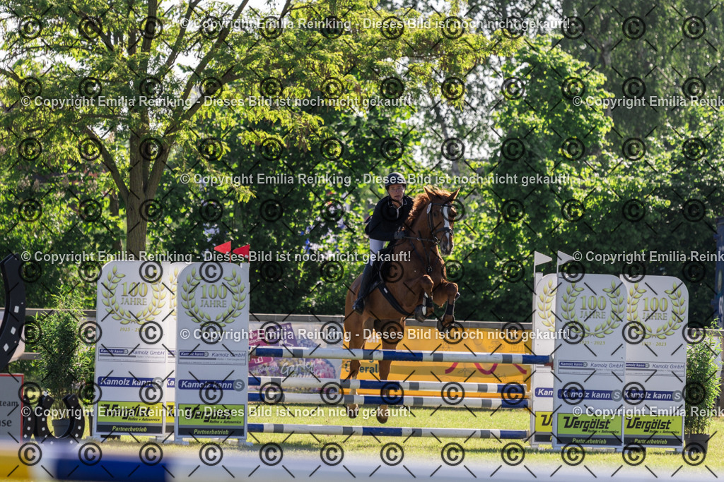 CL5A0585 | Emilia Reinking Fotografie - Realisiert mit Pictrs.com