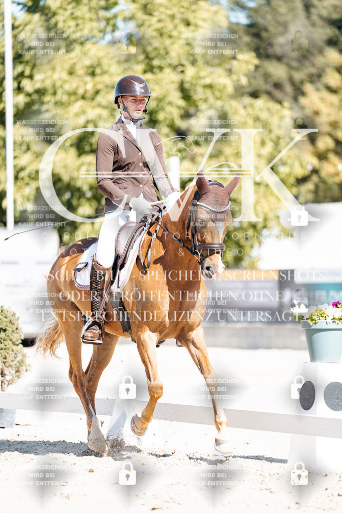 CK909076 | Turnierfotografie Pferdefotografie Trier Rheinland-Pfalz Pferdesport Reitsport Tierfotografie Sportfotografie Pferdevideo Pferdevideografie Equestrianvideography equestrianphotography  - Realisiert mit Pictrs.com