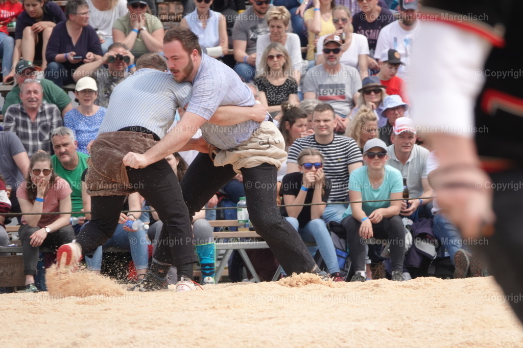 DSC03692 | Schwingen - Realisiert mit Pictrs.com