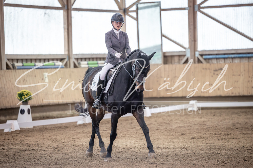 20251011-_3LI1874 | Tierfotografie Pferde, Hunde, Katzen, Haustiere.
Turnierfotografie Reitturniere, Reiten, Springreiten, Dressur in Hanau, dem Main-Kinzig-Kreis und dem Rhein-Main- Gebiet um Frankfurt