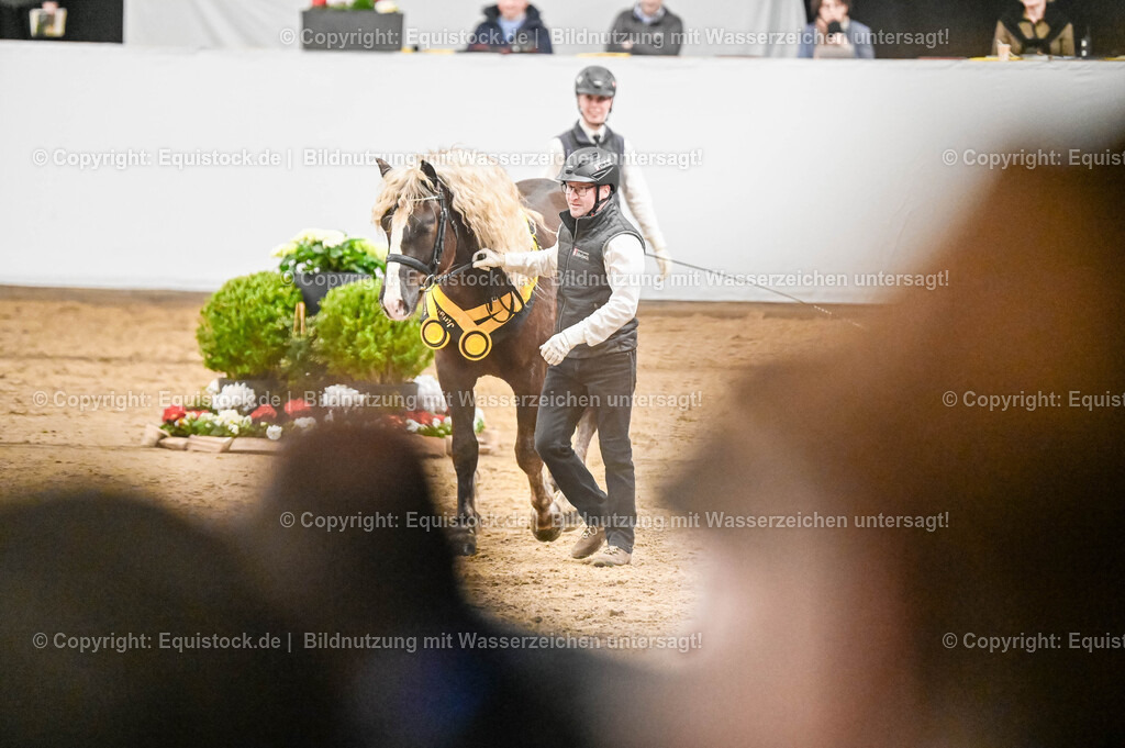 20260307_Hengstvorstellung-Marbach_0259 | equistock
