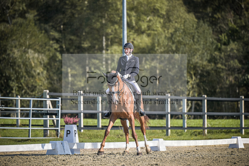 DOS_3500 | Entdecke hochwertige Reitturnierfotos von Foto Oger. Professionell, emotional und authentisch – jetzt Lieblingsmomente im Shop bestellen.Deutschlandweite Turnierfotografie. - Realisiert mit Pictrs.com