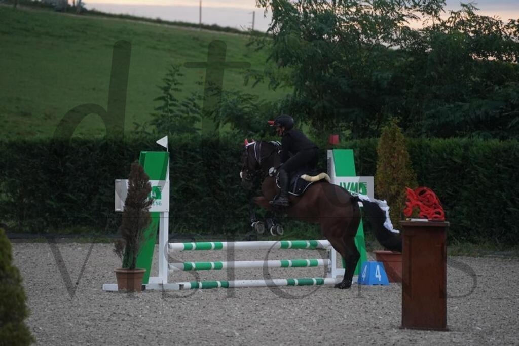 pfmagarethenhof (45) | d.tail Visions - Shop - Realisiert mit Pictrs.com