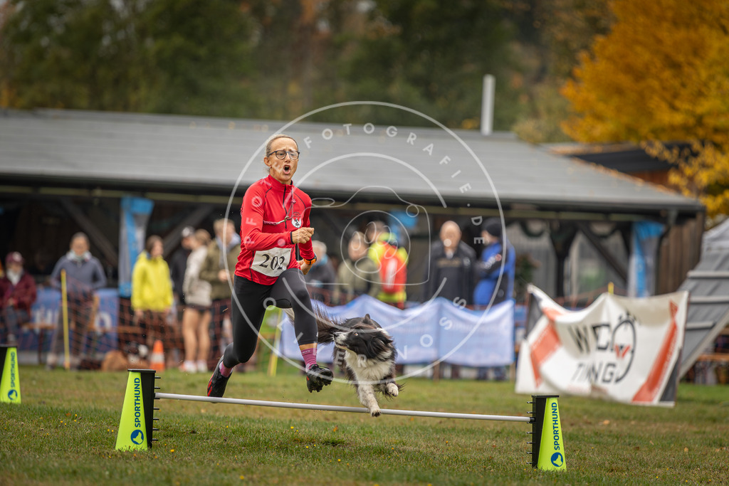 Pfotenfotografie_DV3A1624 | Hundefotografie, Tierfotograf, Pfotenfotografie, Fotoshooting Hund, Hunde Portrait, Hundesport, Hundeportraits, Heideshooting, Hunde, Sportfotograf, Hundefotograf, Turnierhundsport, THS,  - Realisiert mit Pictrs.com