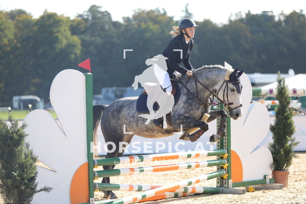 0P6A8281 | Willkommen bei Brunnmayr - Design & Fotografie – Ihrem Spezialisten für Reitturniere und Pferdeveranstaltungen in Oberösterreich, Salzburg und Bayern! Seit über 17 Jahren sind wir leidenschaftlich dabei.