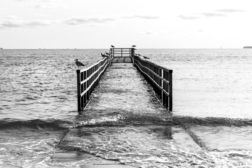 Wandbild: Seebrücke bei Hochwasser in Eckernförde in Schwarz-Weiß | Dieses Wandbild im Querformat zeigt eine Seebrücke am Strand in Eckernförde bei Hochwasser in Schwarz-Weiß. Auf dem Geländer sitzen einige Möwen.  - Realisiert mit Pictrs.com