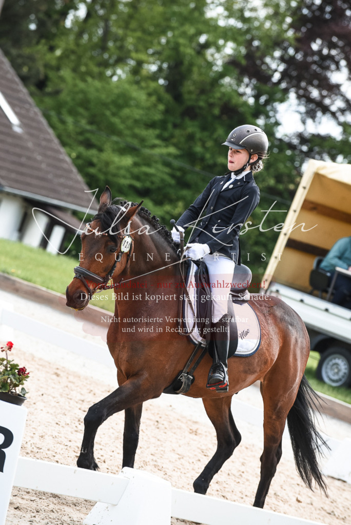 20230518_JK-Röhrsdorf-11-0831 | Pferde- und Turnierfotografie in Westsachsen. Pferdeportraits, Auftragszeichnungen und intuitive Kunst.