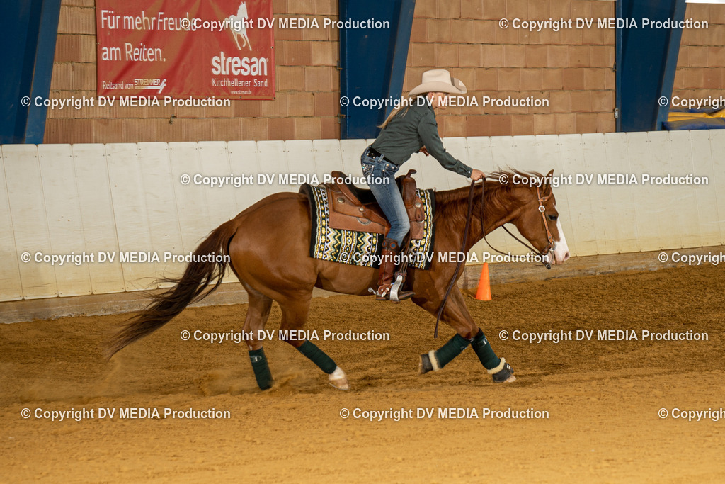 MIT00151 | dv-media-shop - Realisiert mit Pictrs.com