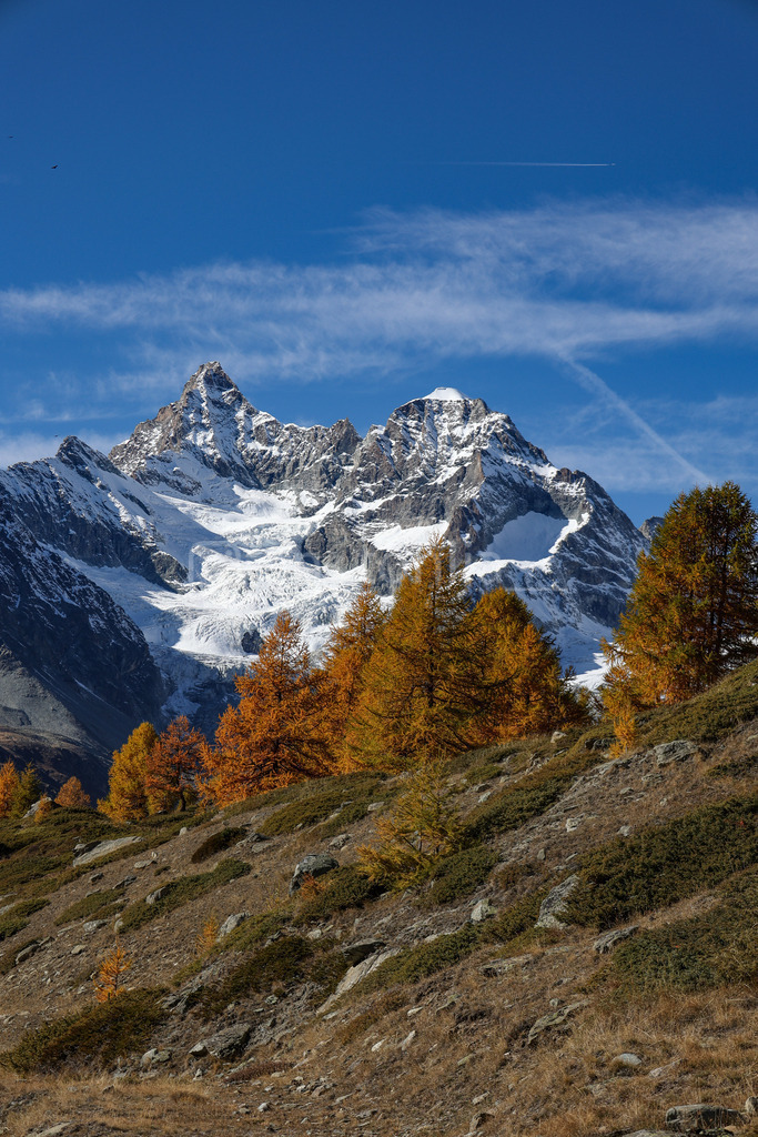 A.Trupina-161 | antonija-trupina - Realisiert mit Pictrs.com