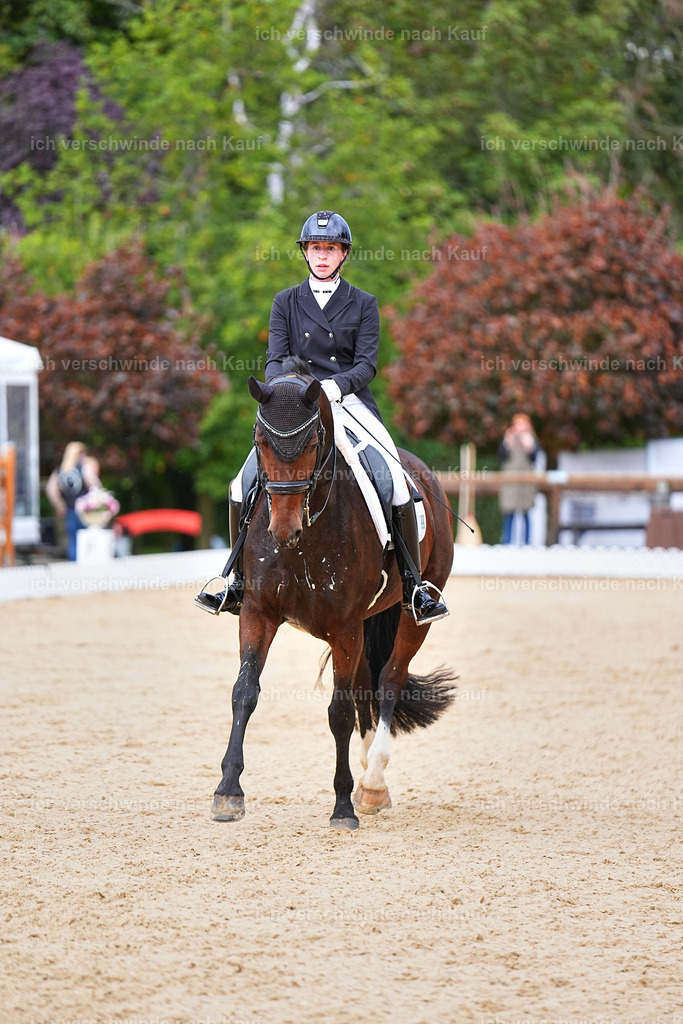 8_1-099-Klasse S_  -Marixx-4170 | working equitationturnier fotograf videograf stoibphotography marixx film working equitation deutschland reitsport turnierfotografie eventfotografie equestrian events