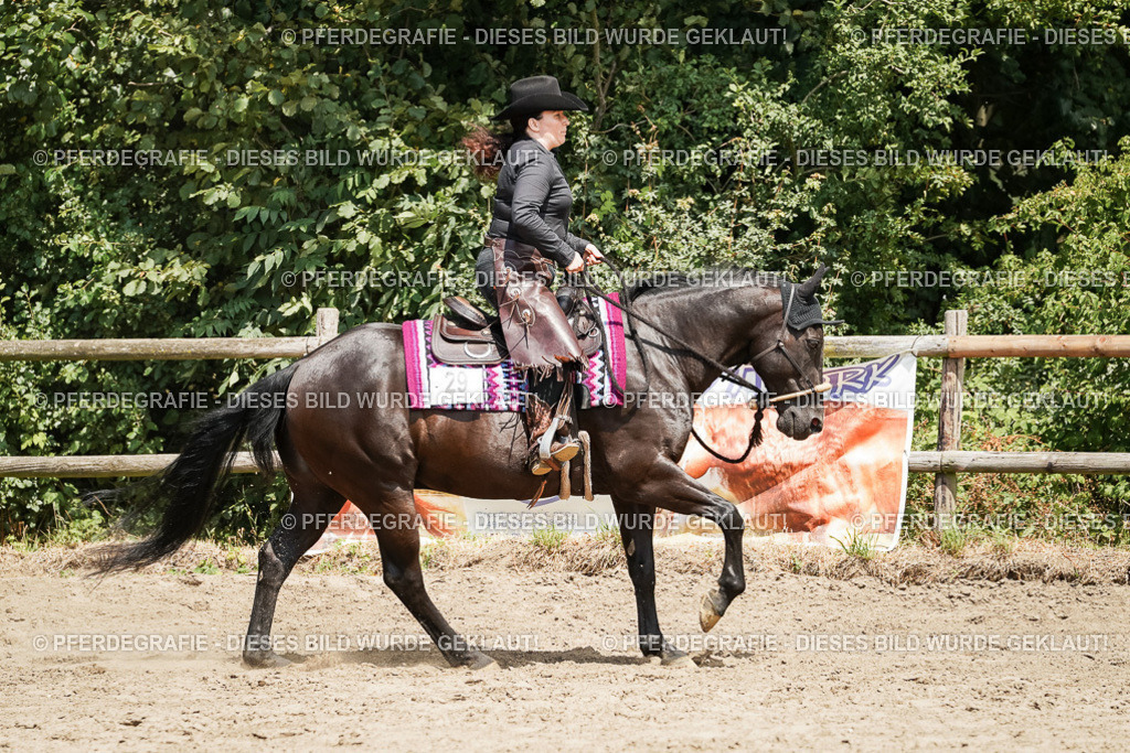 DSC09346 | Pferdegrafie