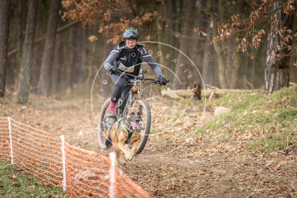 Pfotenfotografie_DV3A1789 | Hundefotografie, Tierfotograf, Pfotenfotografie, Fotoshooting Hund, Hunde Portrait, Hundesport, Hundeportraits, Heideshooting, Hunde, Sportfotograf, Hundefotograf, Turnierhundsport, THS,  - Realisiert mit Pictrs.com
