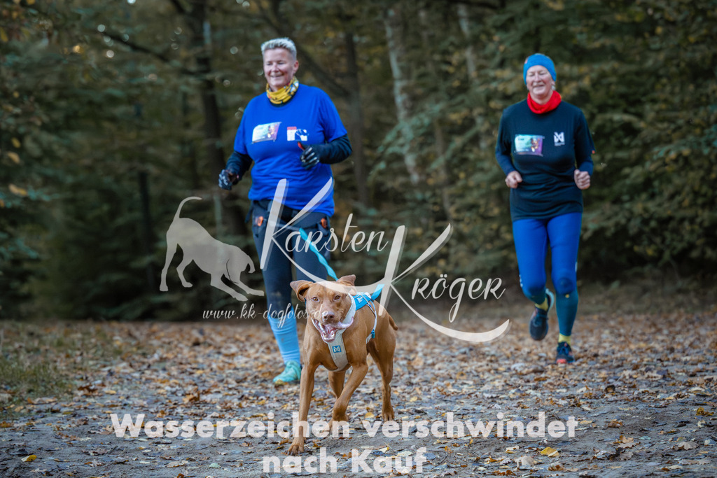 0850_ZZ96098 | kk-dogfotos