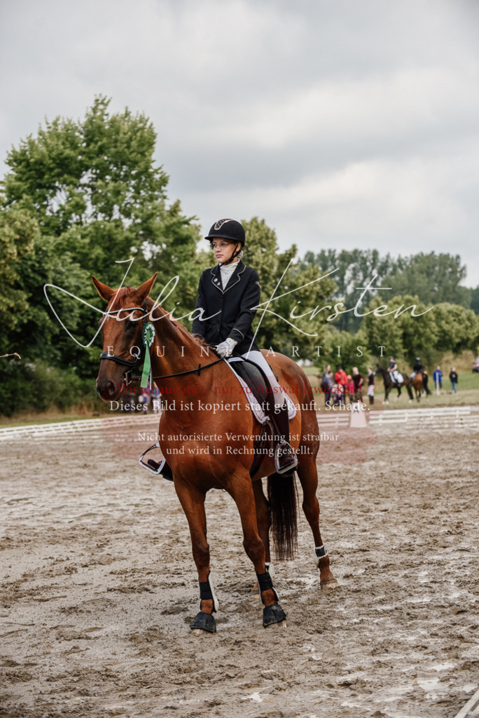 DSC_9376 | Pferde- und Turnierfotografie in Westsachsen. Pferdeportraits, Auftragszeichnungen und intuitive Kunst.