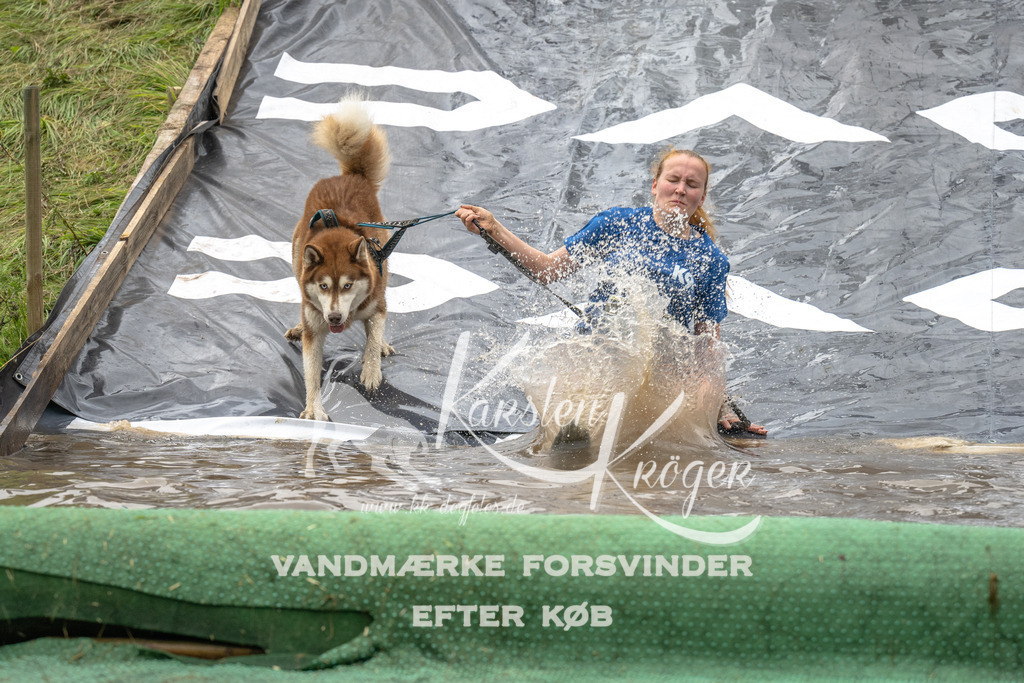 1557_ZZ91587 | kk-dogfotos