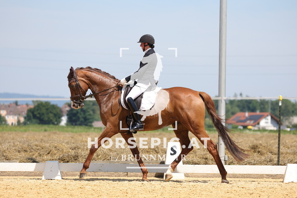0P6A0601 | Willkommen bei Brunnmayr - Design & Fotografie – Ihrem Spezialisten für Reitturniere und Pferdeveranstaltungen in Oberösterreich, Salzburg und Bayern! Seit über 17 Jahren sind wir leidenschaftlich dabei.