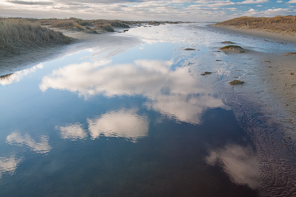 d_2013_01_0763 | Ausdrucksstarke Naturfotografien | Fotokunst Wandbilder zur Raumgestaltung für Zuhause | Praxis und Büro| Hotels und Wellness | Kanzlei und Repräsentanz. Hochwertig, individuell, flexibel. - Realisiert mit Pictrs.com