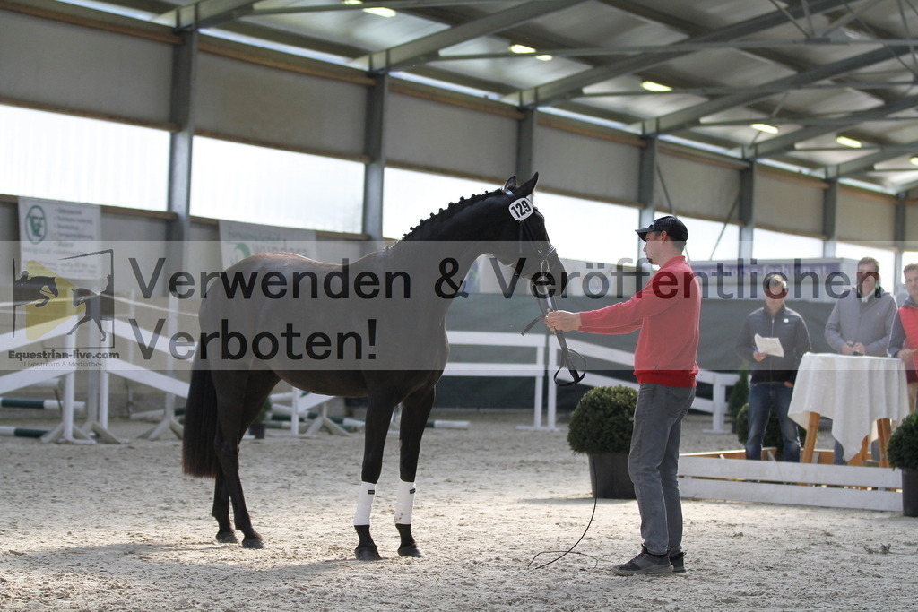 _MG_9806 | equestrian-live-com